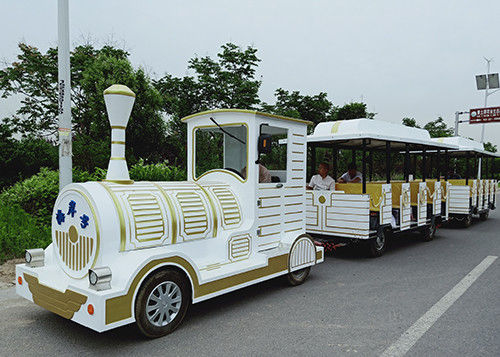 Mode-Karnevals-Zug-Fahrfarbe kundengebundener elektrischer touristischer Zug mit LED-Licht